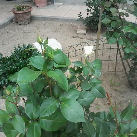 Bed and Breakfast Perbacco Sartirana Lomellina Екстер'єр фото